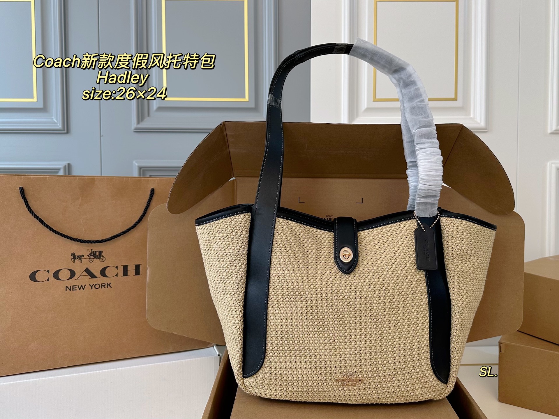 coach bag 350